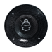 AMP Beat (LB) 503
