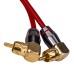 AMP HRCA-1