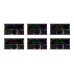 AurA AMD-782DSP AurA AMD-782DSP