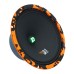DL Audio Gryphon Pro 200 SE DL Audio Gryphon Pro 200 SE