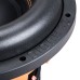 DL Audio Phoenix Sport 12 DL Audio Phoenix Sport 12