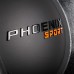 DL Audio Phoenix Sport 15 DL Audio Phoenix Sport 15