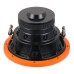 DL Audio Piranha 10 DL Audio Piranha 10