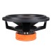 DL Audio Raven 15 DL Audio Raven 15