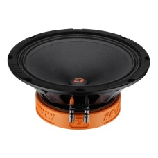 DL Audio Raven 200 DL Audio Raven 200